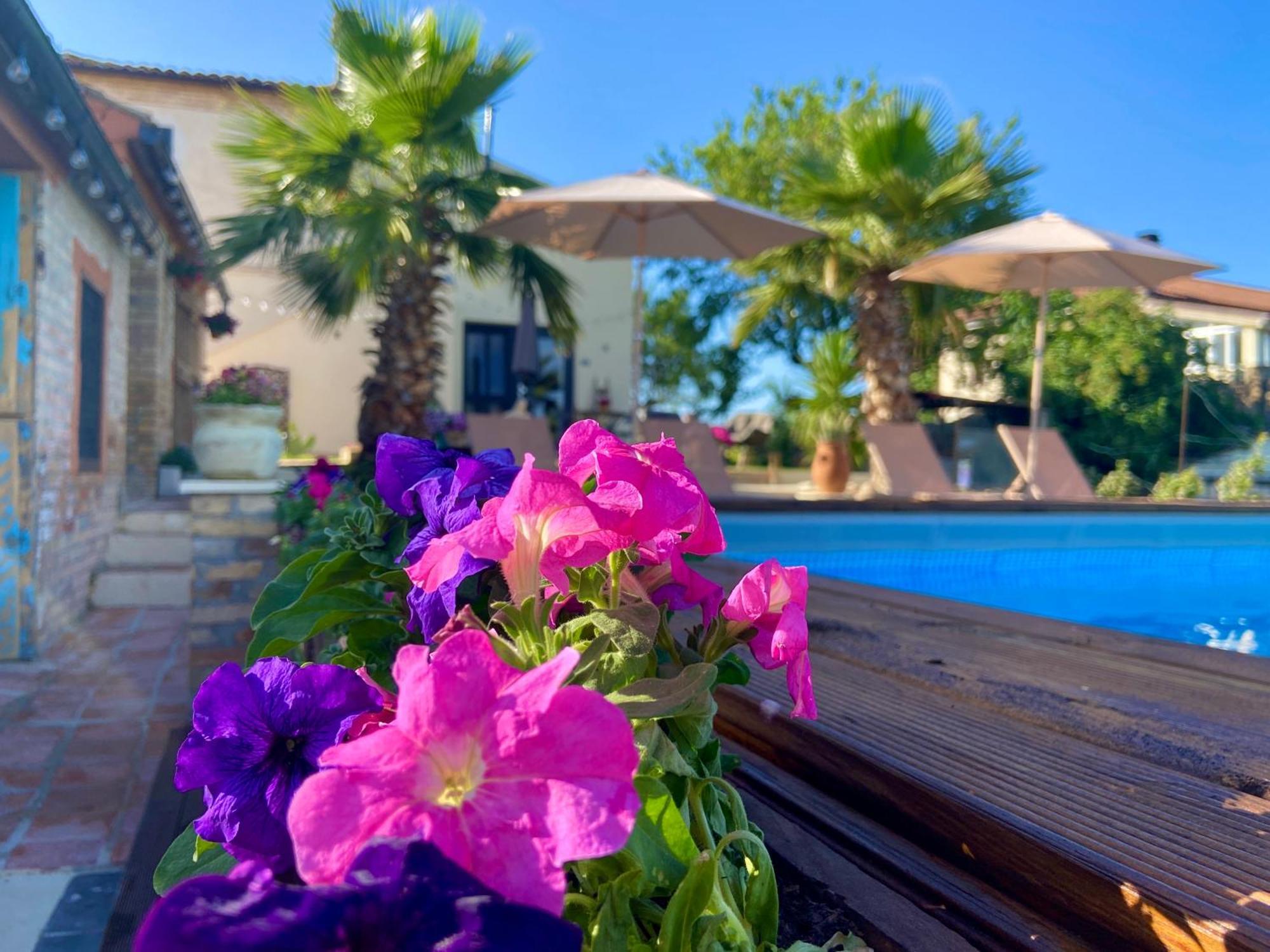 Bed And Adventure Tramontana Resort - Camera Vista Castilenti 外观 照片