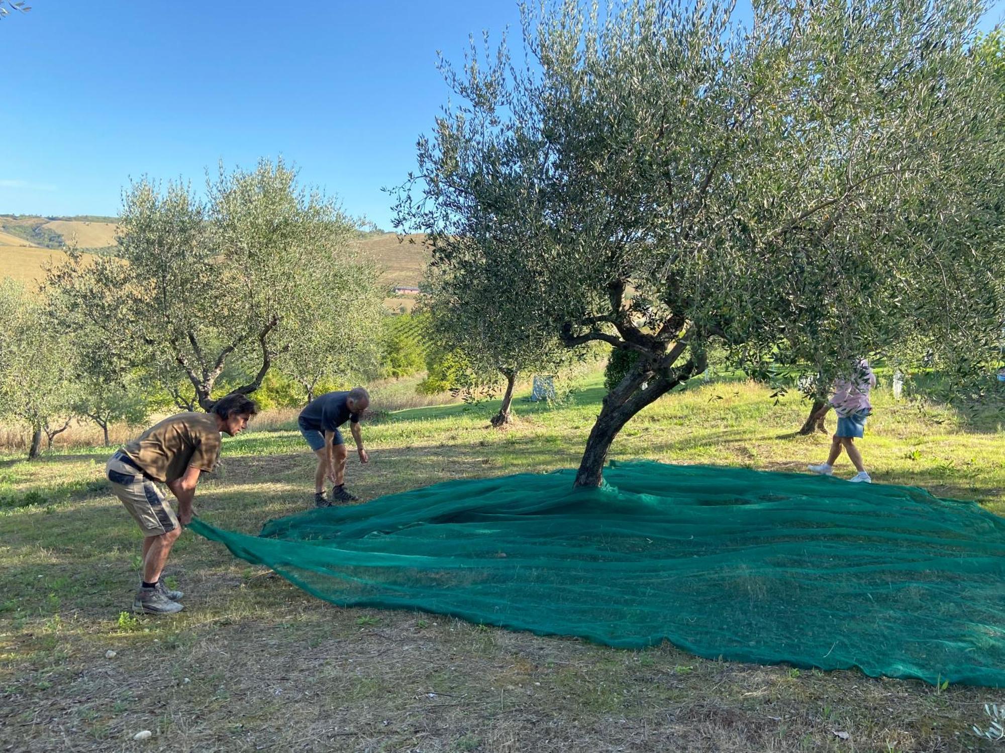 Bed And Adventure Tramontana Resort - Camera Vista Castilenti 外观 照片